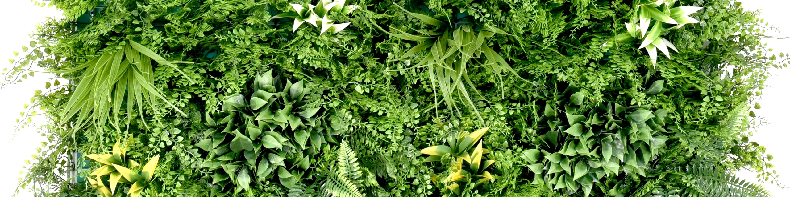 Panel decorativo de jardín vertical con hojas y flores blancas
