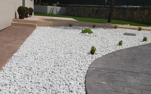 Parterre de grava blanca con pequeñas plantas junto a un pavimento