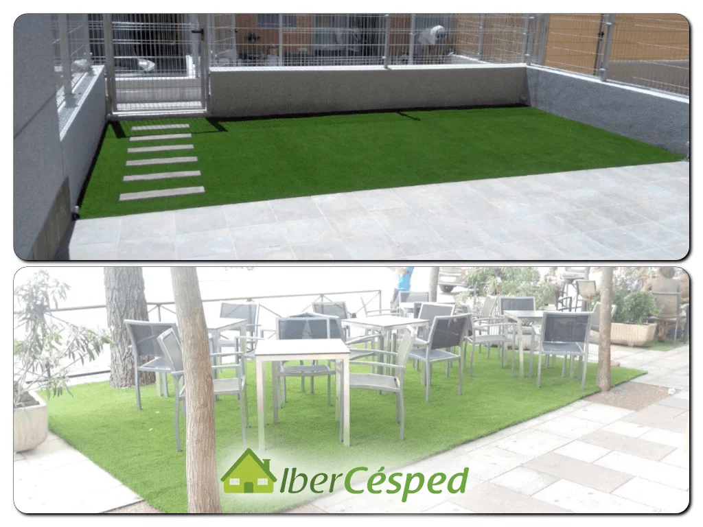 Evitar que los gatos esten en el césped artificial de Ibercesped ®