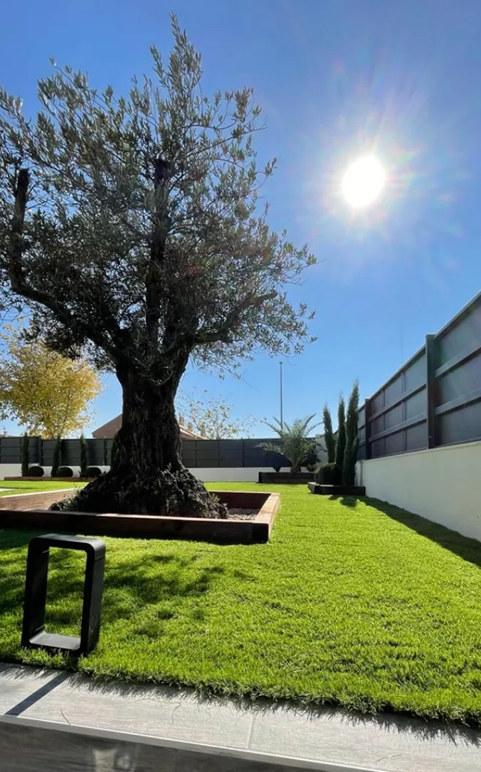 Jardín con césped artificial y olivo